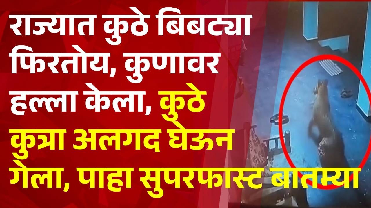 Pudhari News | Leopards' happenings across the state on one click #maharashtrapolitics