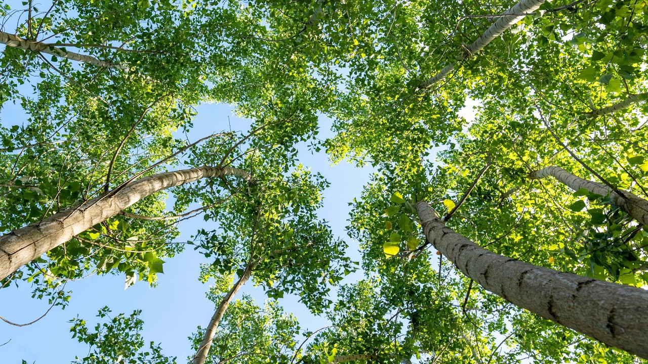 Do enough allergists and PCPs know about Environmental Health Literacy (EHL)?