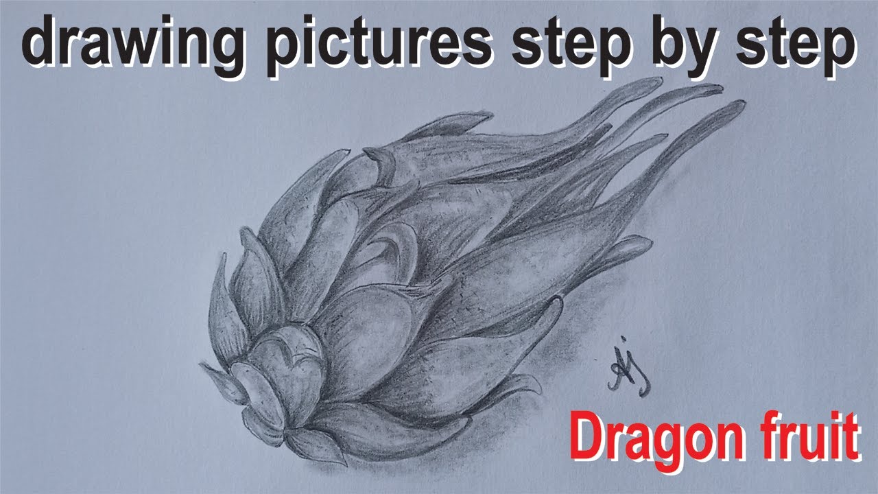easy drawing dragon fruit with pencil || drawing pictures step by step || dragon fruit drawing