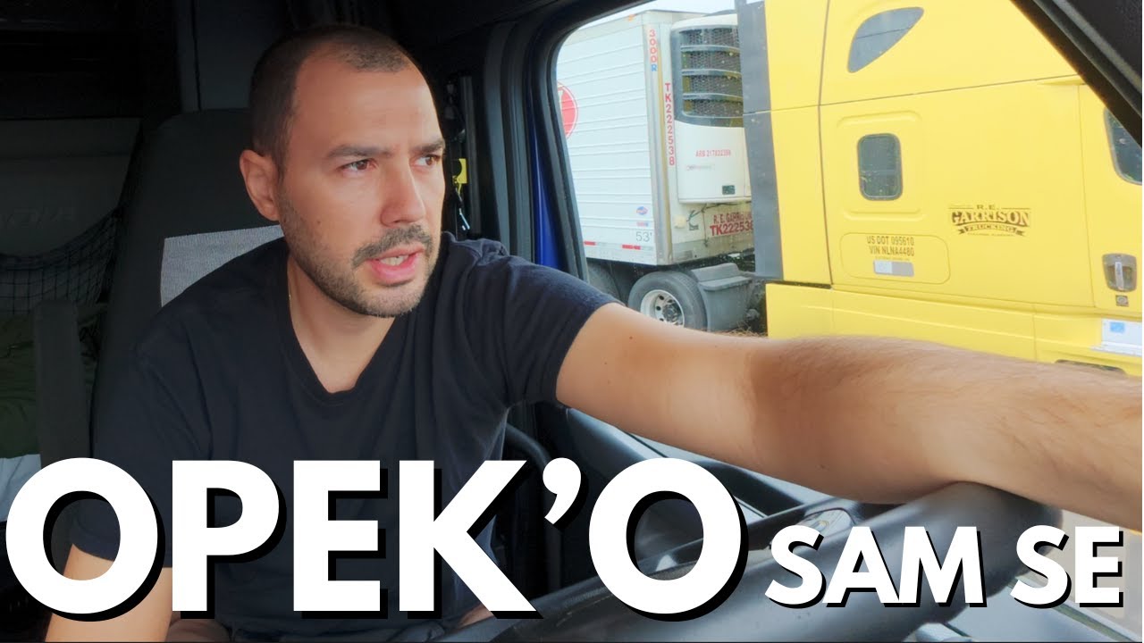 JEDVA SAM SE IZVUKAO IZ JUŽNE DŽORDŽIJE