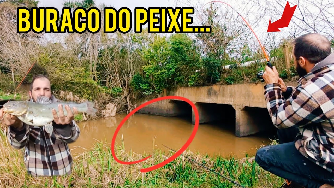 ABSURDO A QUANTIA DE PEIXE NESSE BURACO 🎣!!! FORAM MAIS DE 15 KILOS😲