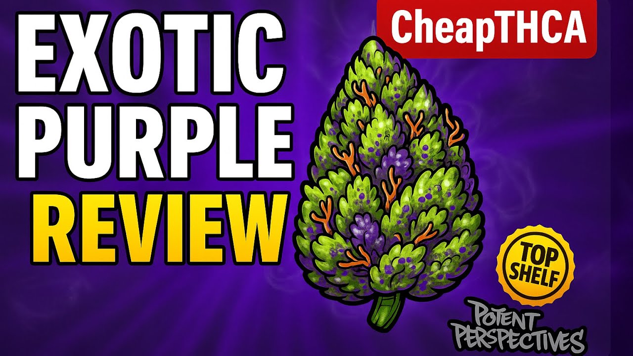 Did CheapTHCA Come Through Again? | Exotic Purple  AAA+ strain Review 🔥
