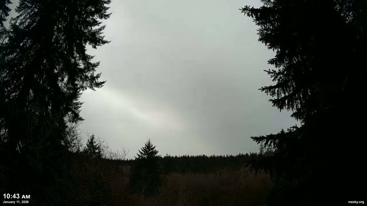 January 11, 2026 - Cloudy Pacific Northwest Skyscape Timelapse Video | 4K 60fps