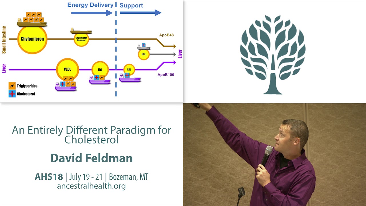 AHS18 Dave Feldman - An Entirely Different Paradigm for Cholesterol