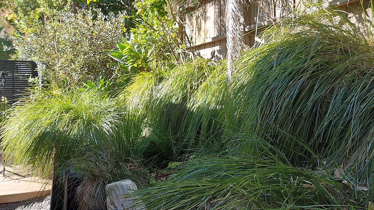 It was a bit of a Challenging Task | Messy Garden Makeover
