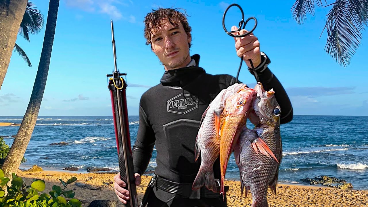 New Roller Speargun! Solo Spearfishing Mission!