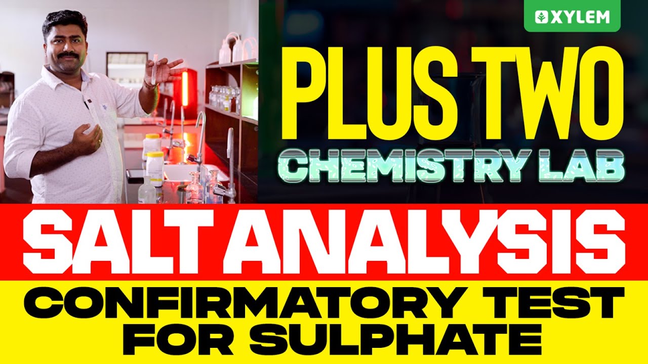 Plus Two Chemistry Lab | Salt Analysis - Confirmatory Test For Sulphate | Xylem Plus Two