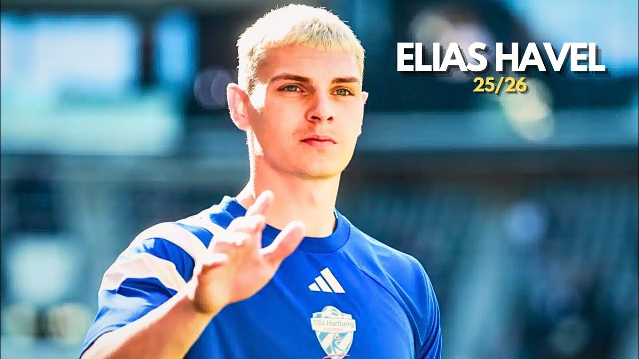 Elias Havel - 25/26 So Far At TSV Hartberg