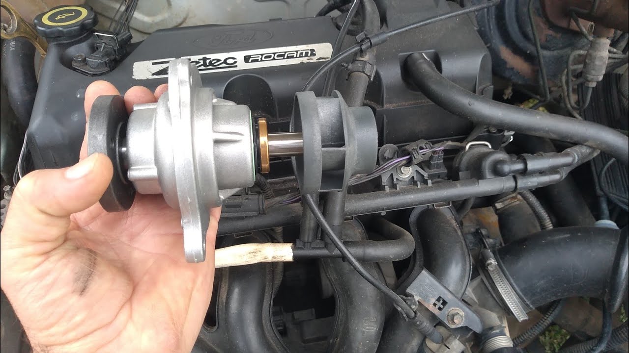 Trocar bomba d'água do fiesta , courier,Focus,Eco Sport, Ka passo a passo completo
