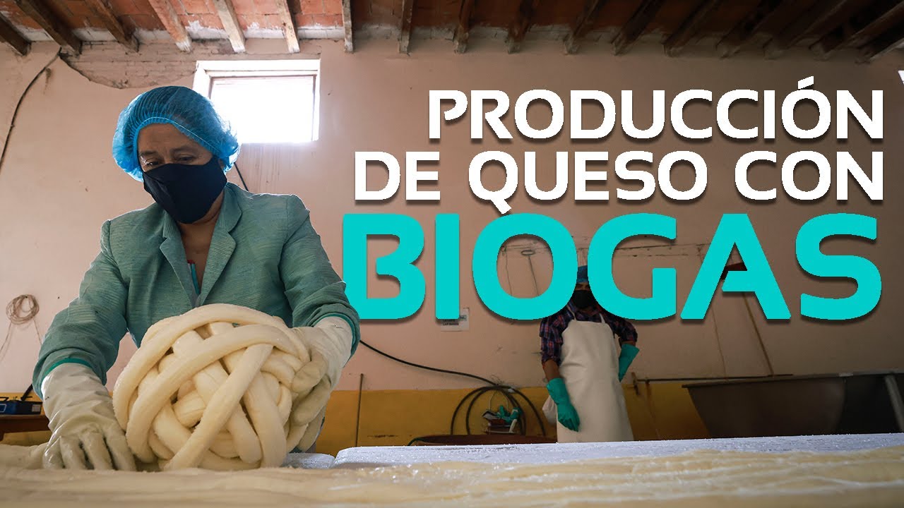 Produciendo queso Oaxaca con biogás | Biodigestores Sistema.bio