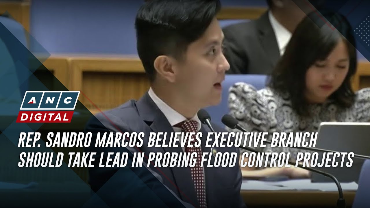 Rep. Sandro Marcos believes executive branch should take lead in probing flood control projects