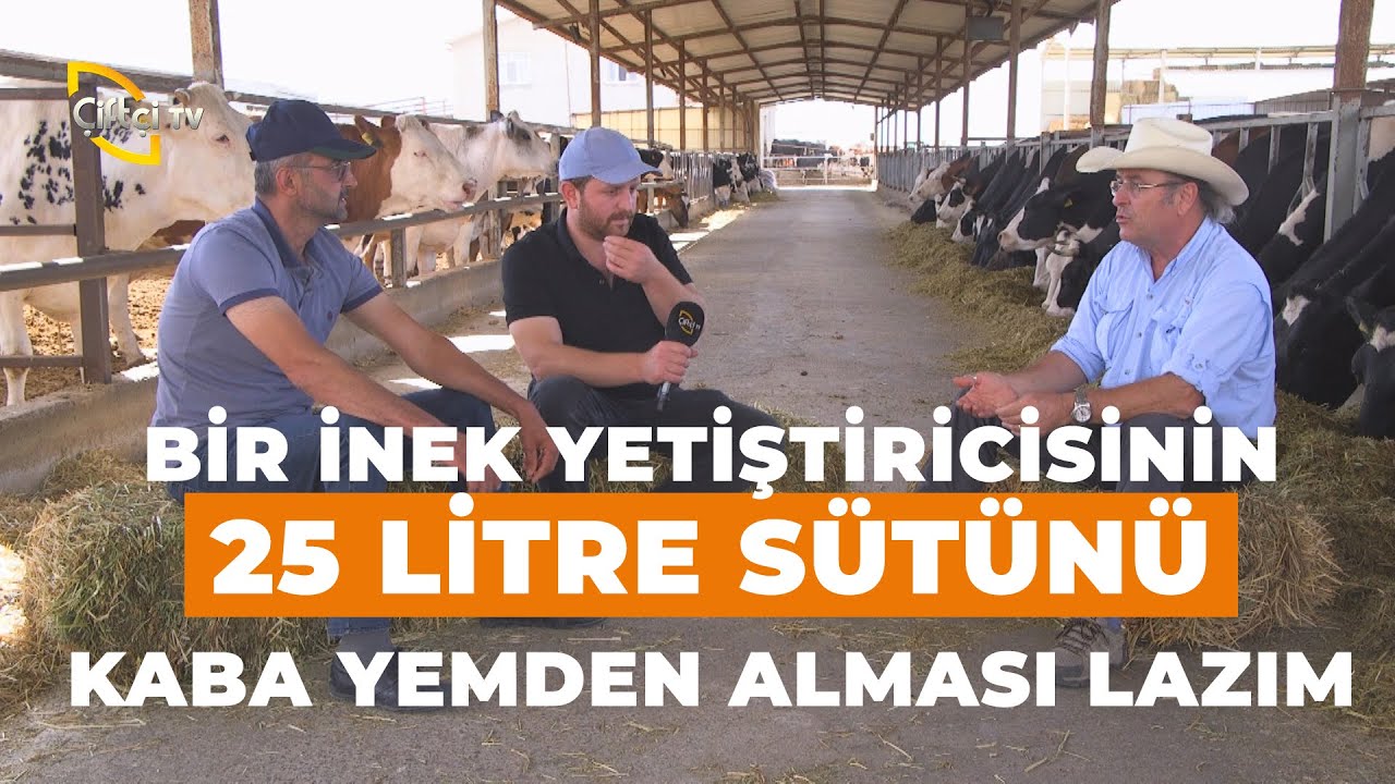 Bir İnek Yetiştiricisinin 25 Litre Sütünü Kaba Yemden Alması Lazım! - Büyükbaş Dünyası