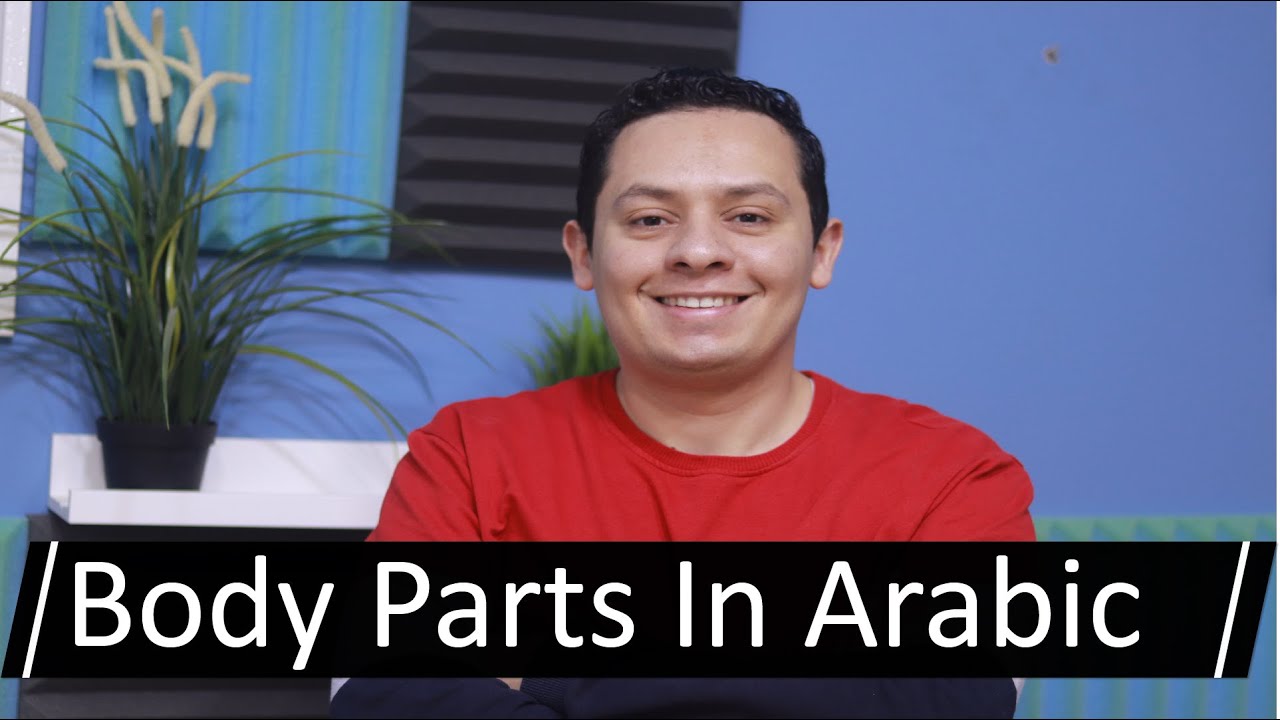 Body parts in Arabic - Learn the Arabic language