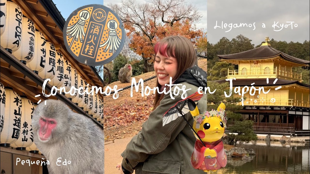 VLOG JAPÓN EP3 🌸 Kawagoe, Parque de los monos, Arashiyama y Pabellón Dorado