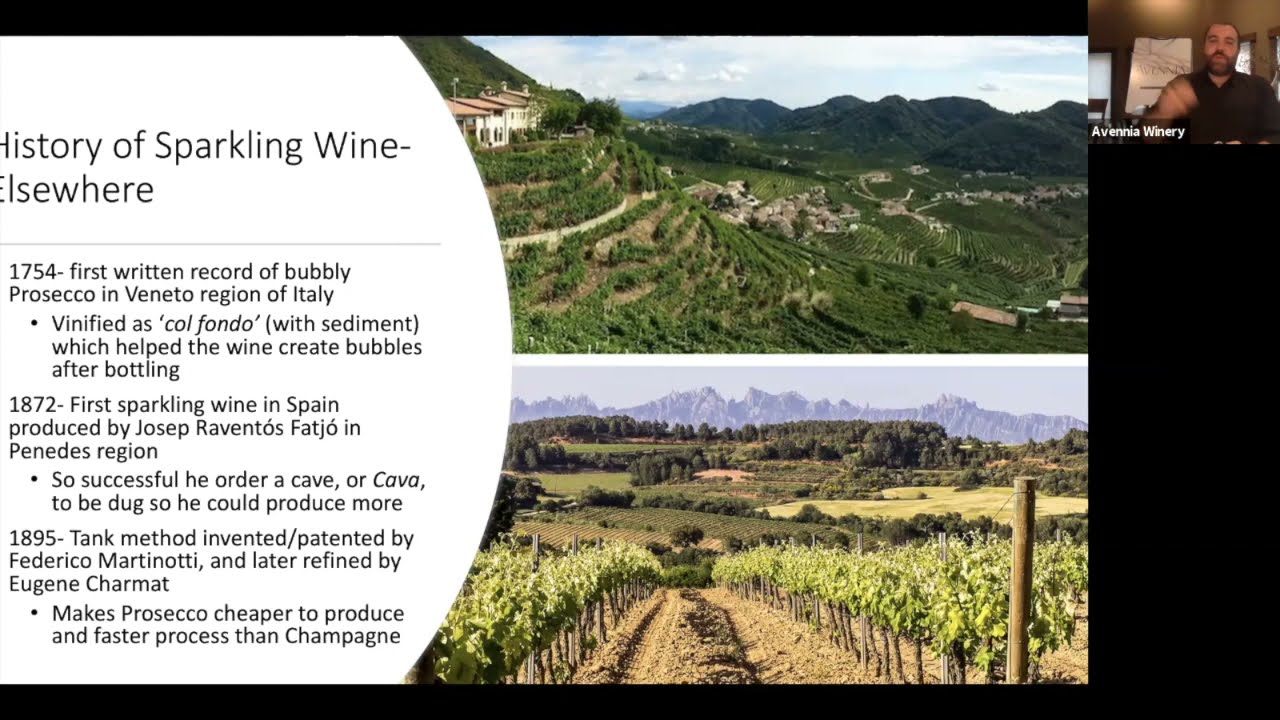 All Things Avennia: Sparkling Wine