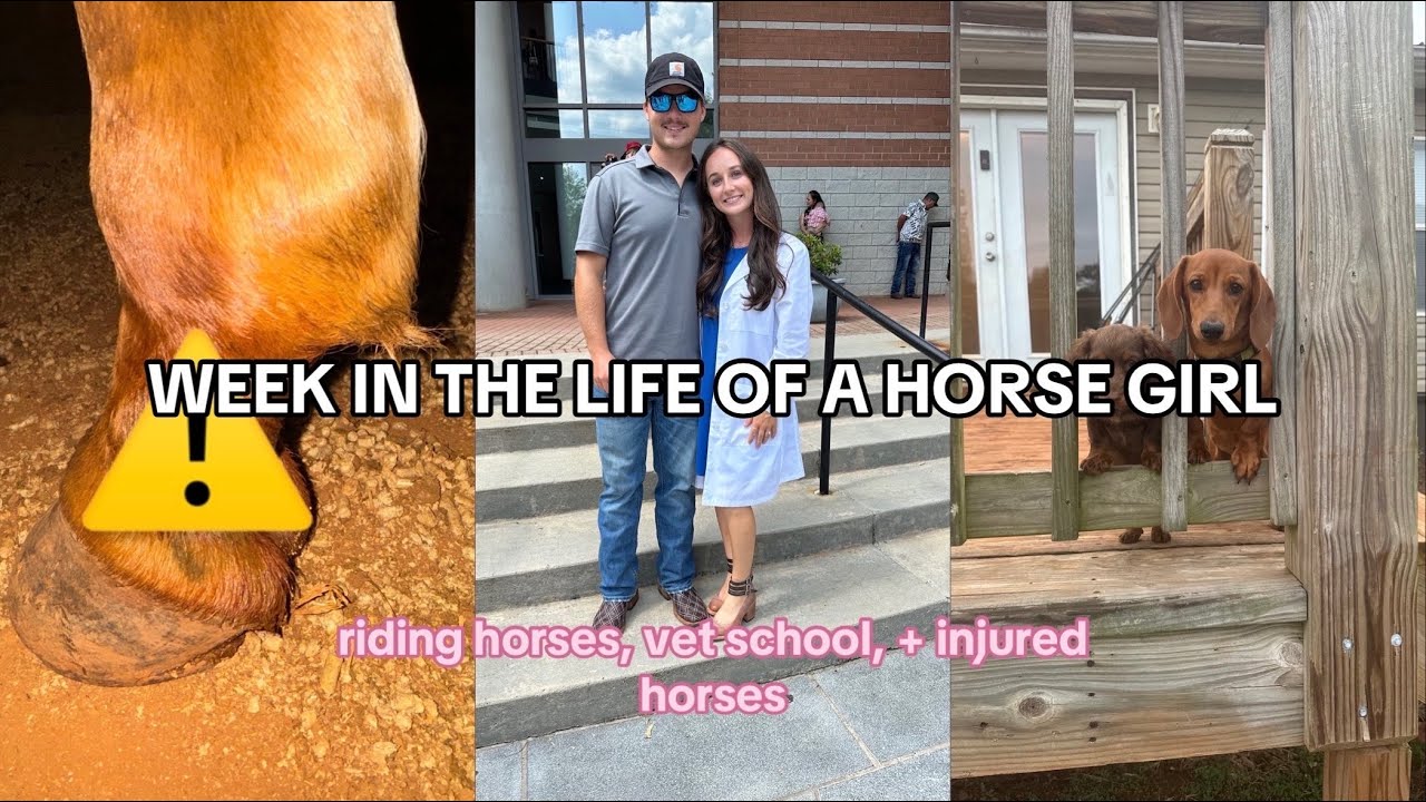 WEEK IN MY LIFE: riding horses, vet school, & injured horses