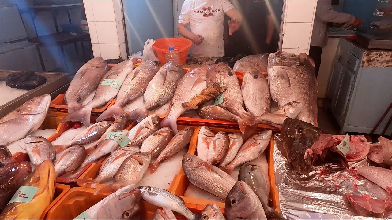 Binzart Fish Market, Tunisia 🇹🇳 4k