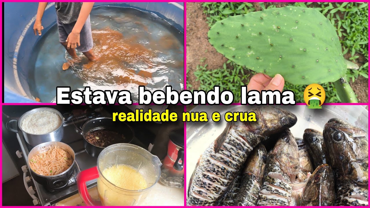 Rotina de uma sexta feira na casinha da roça 🏡🪴🌵