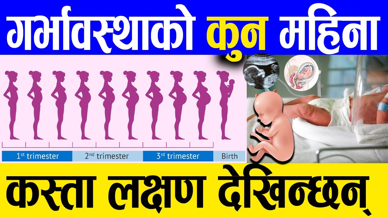 Pregnancy 1-9 Month गर्भावस्थाको ९ महिना कहिले के हुन्छ ? nepali health tips | samacharpati health