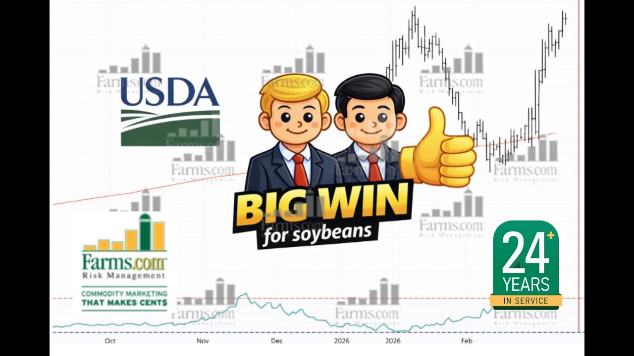 USDA Feb Crop Report a WIN for Soybeans + 1 Year Trade Truce Extension