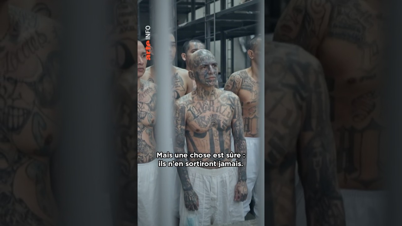 &Agrave; quoi ressemble le Cecot, la plus grande prison du Salvador ? 🚨 #bukele #usa #prison #arteinfo
