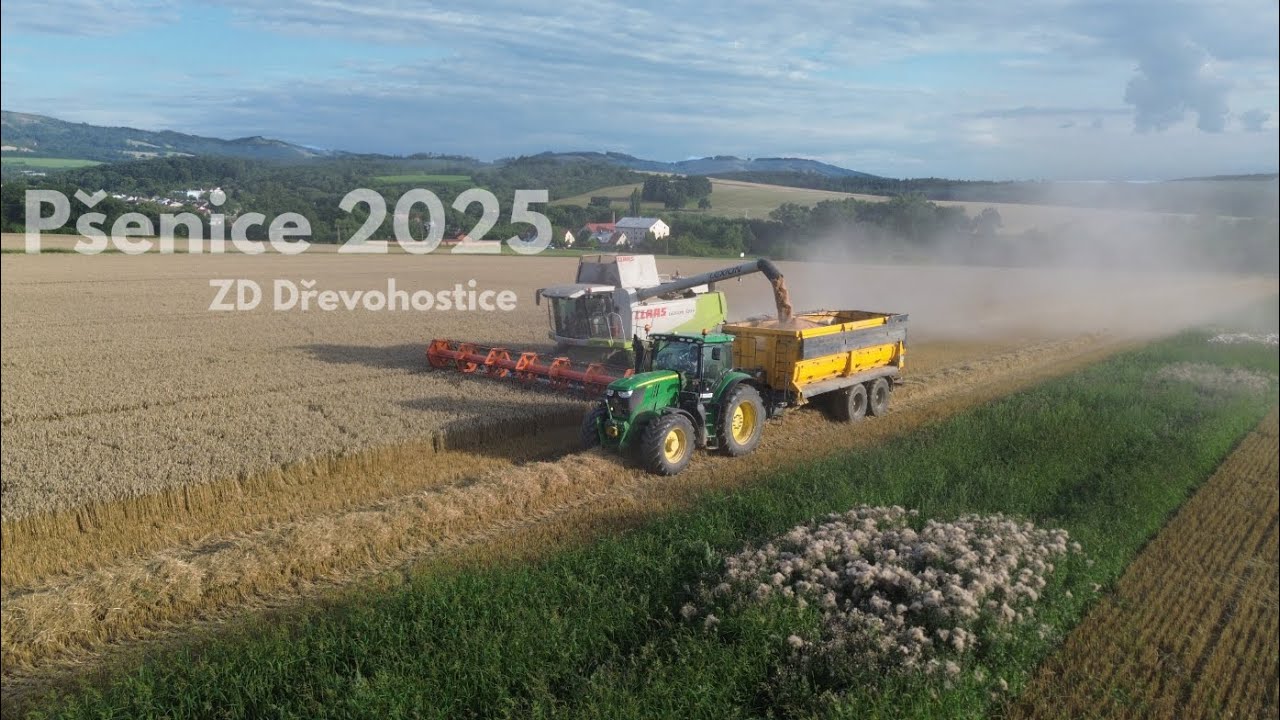 Pšenice 2025!! ZD Dřevohostice 🌾❤️ jarní pšenice I 2x Claas Lexion & New Holland & Case AF