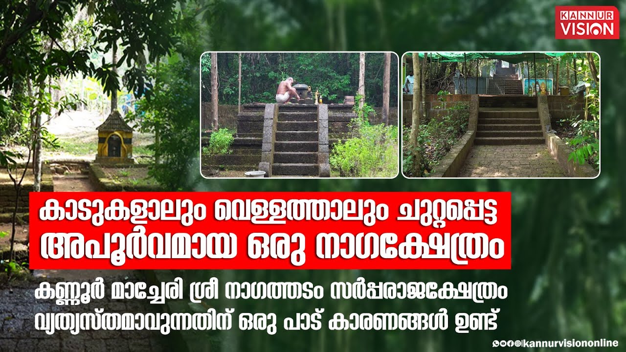 കാടുകളാലും വെള്ളത്താലും ചുറ്റപ്പെട്ട അപൂർവമായ ഒരു നാഗക്ഷേത്രം; | Pradhakshina Vazhi |Naga Temple