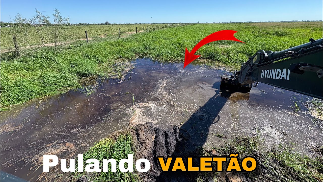 PULANDO VALETA PRA SEGUIR COM A LIMPEZA