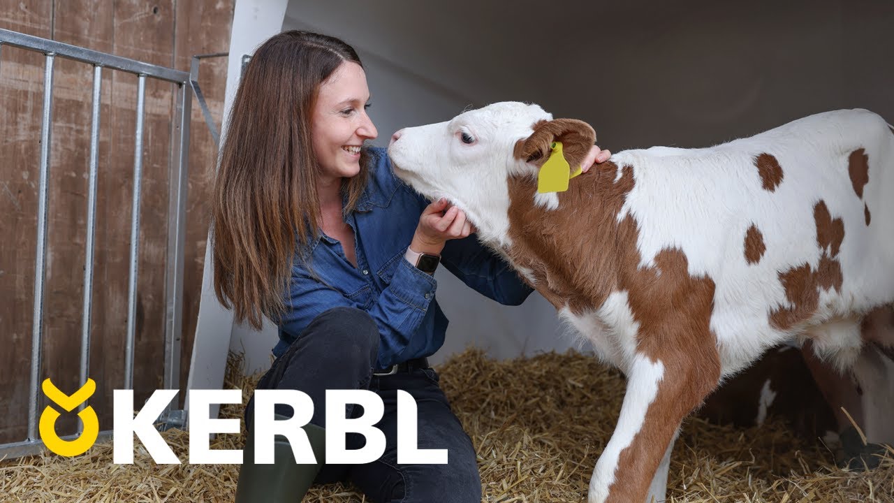 K&auml;lberh&uuml;tte 🐮 CalfHouse Premium DUO mit Umz&auml;unung von KERBL