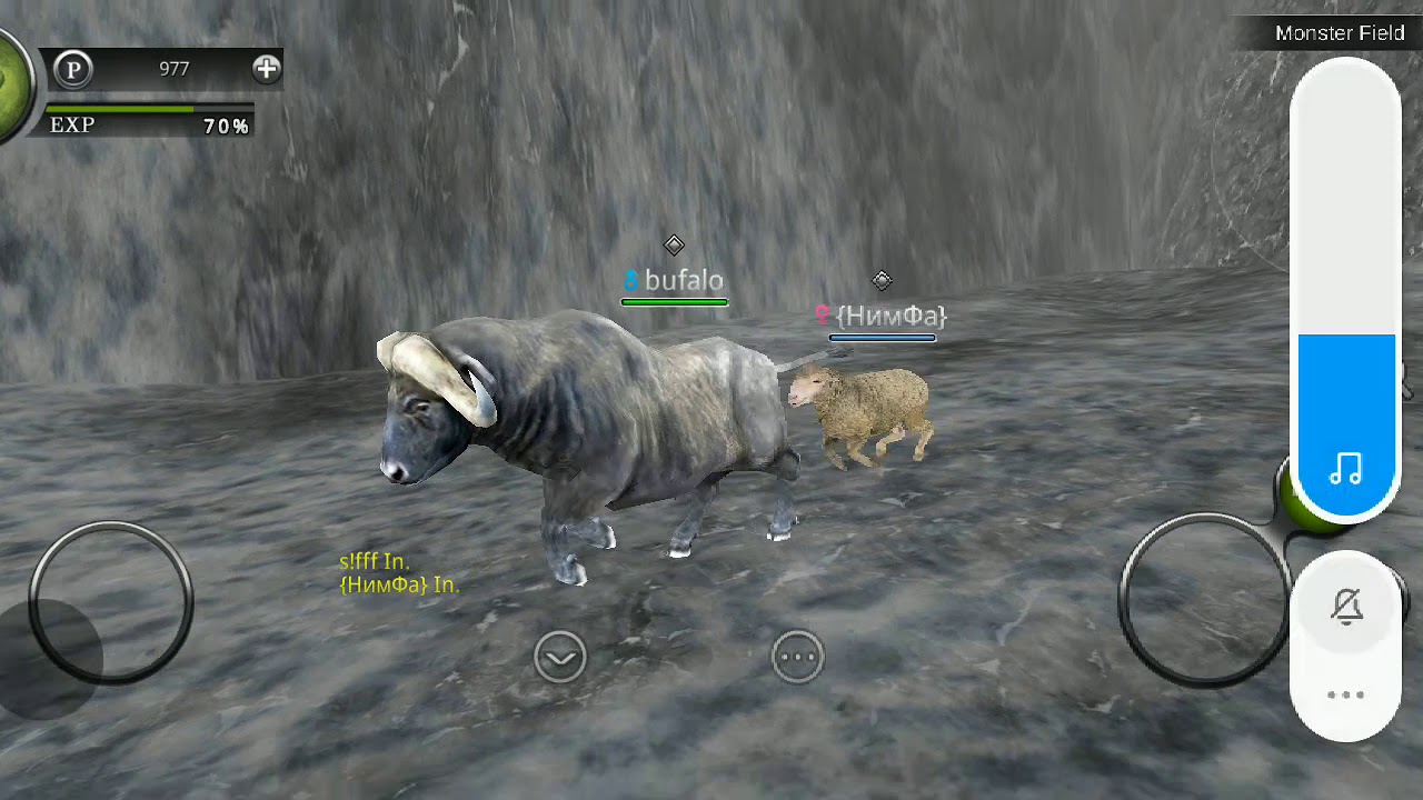 Wild animals online game - Mihajlo