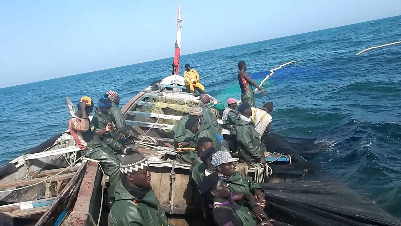 coopérative de pêche en Mauritanie (lemool)5