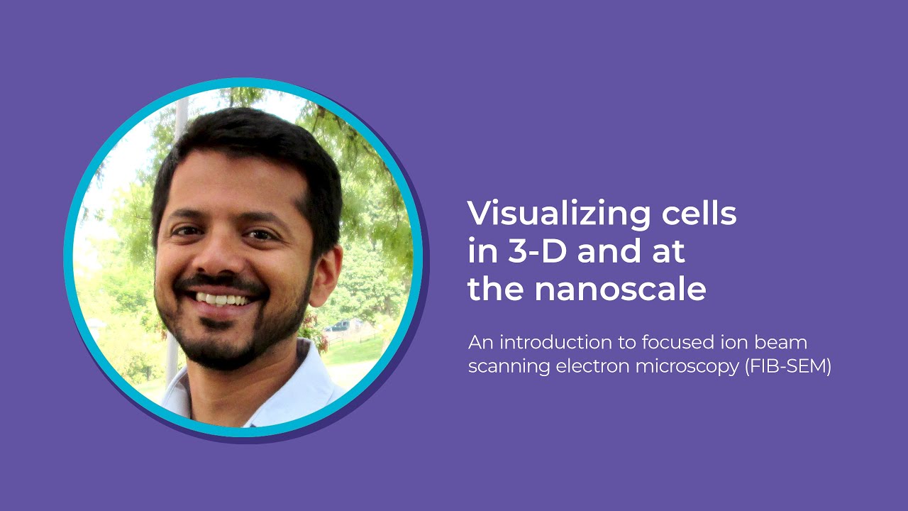 Introduction to focused ion beam scanning electron microscopy (FIB-SEM)