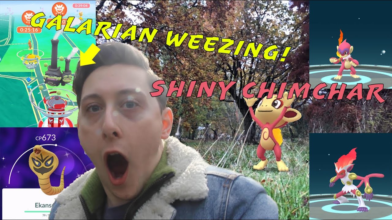 SHINY CHIMCHAR Community Day + NEW GALARIAN WEEZING Raids! Evolving to Shiny INFERNAPE! Pokemon GO!