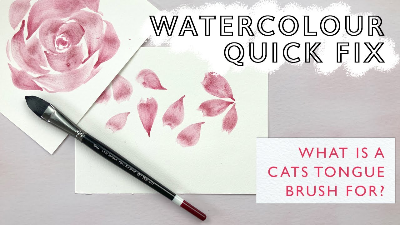 What is a Cats Tongue Brush?