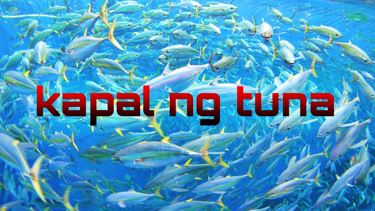 EP57 SA SUBRANG KAPAL NG TUNA NAKAGAWA SILA NG HUGIS BUHAWE