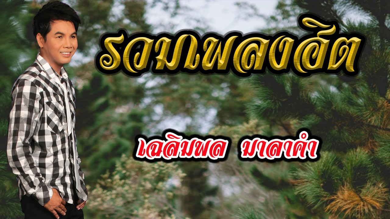 รวมเพลงฮิต เฉลิมพล มาลาคำ