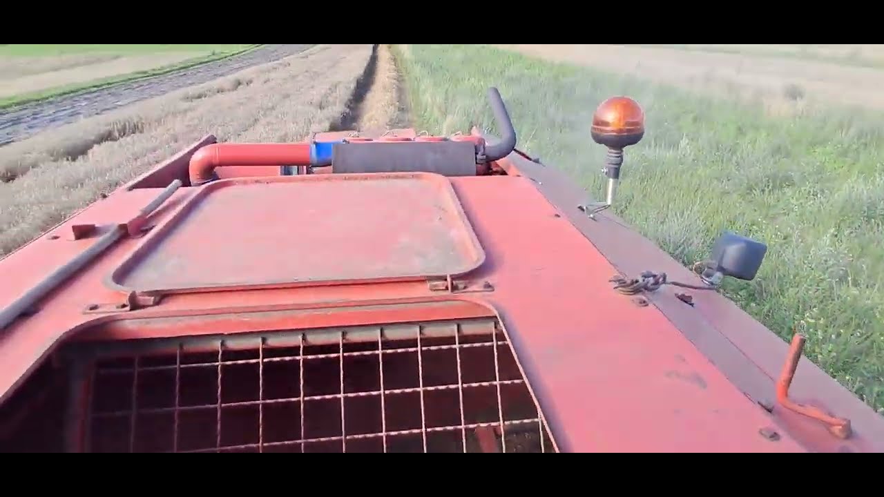 Żniwa 2k25 Fahr m900 w gęstej pszenicy.