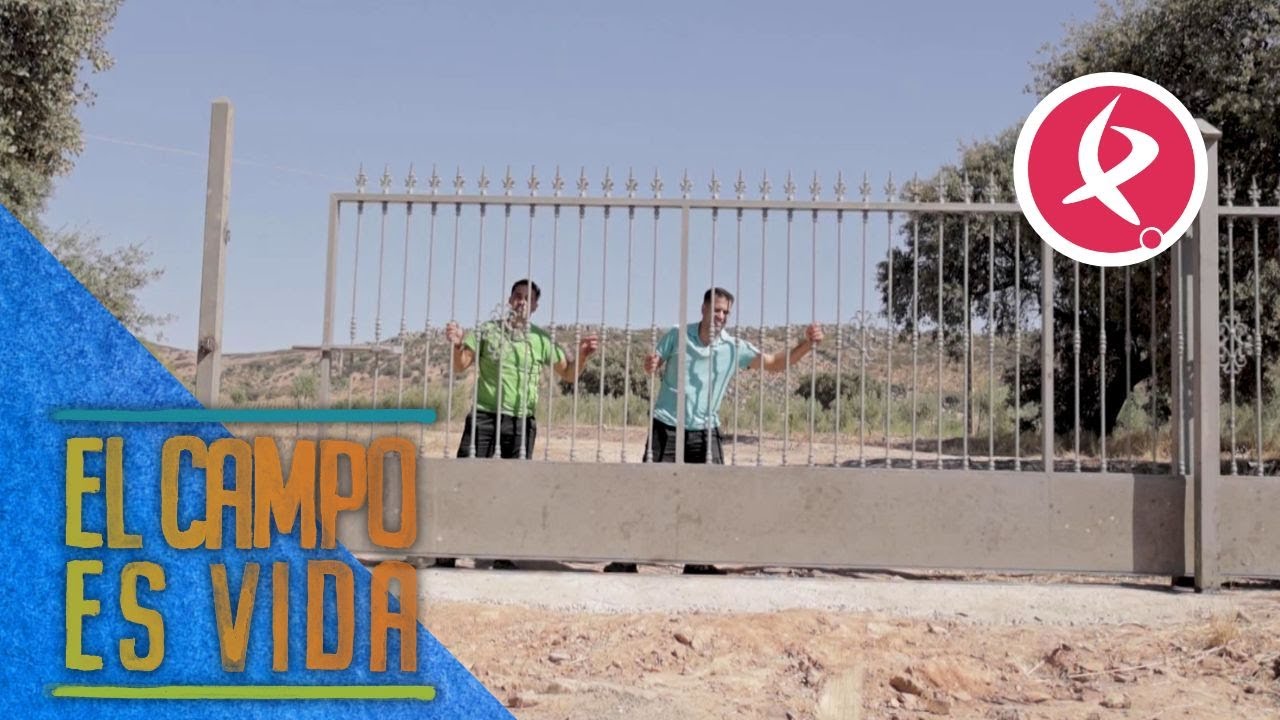 Los Mellis nos vuelven a abrir las puertas de su finca | El campo es vida