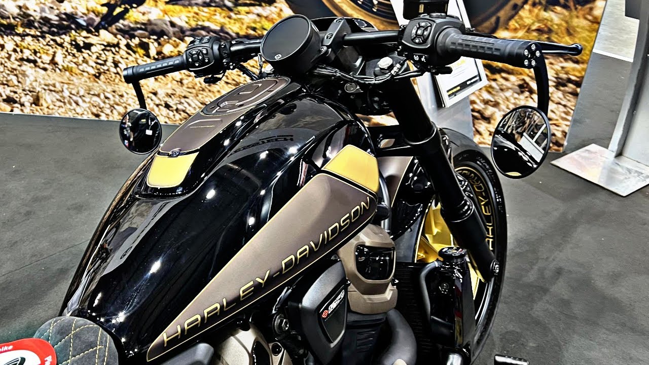 30 Best Looking Harley-Davidson Cruiser Motorcycles You Must To See !!!