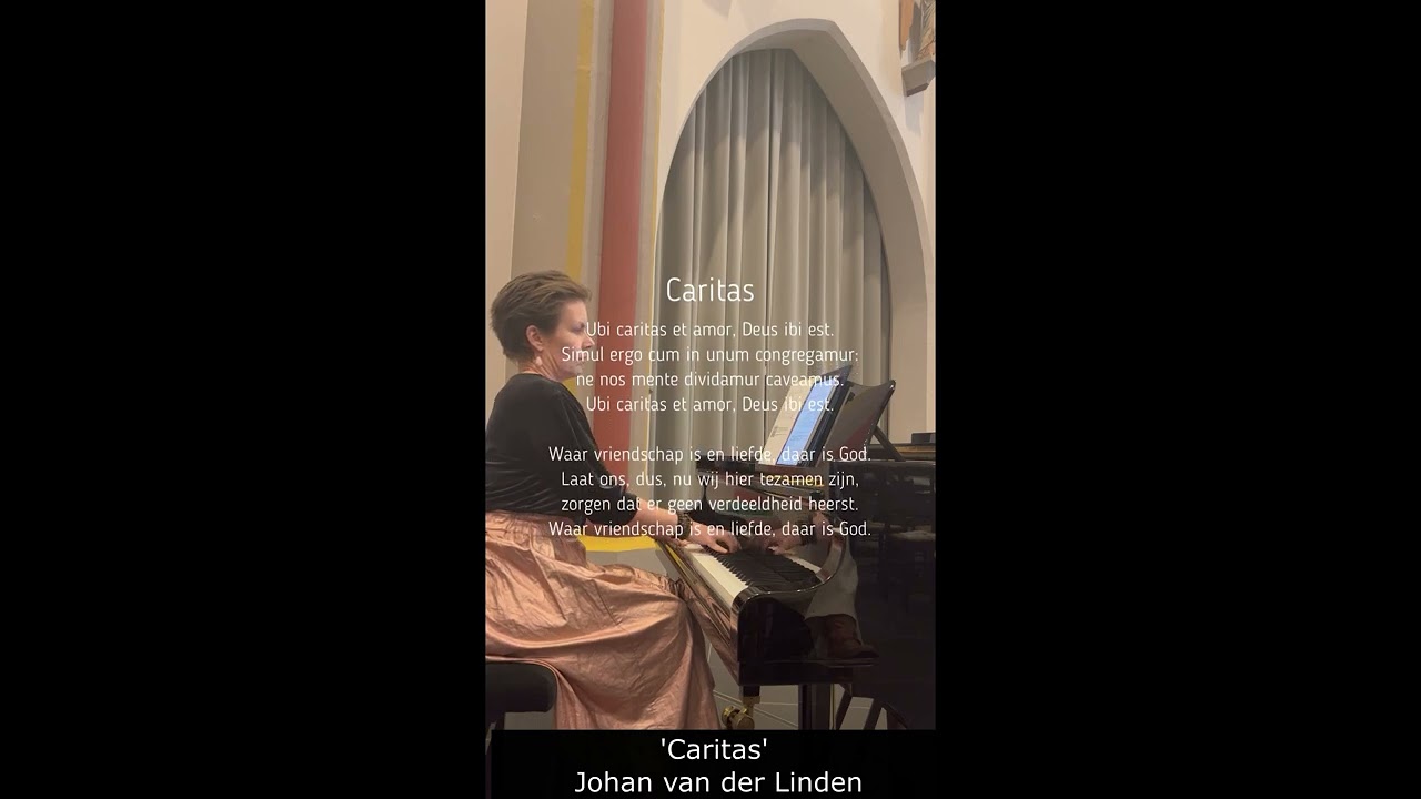 Caritas - Johan van der Linden