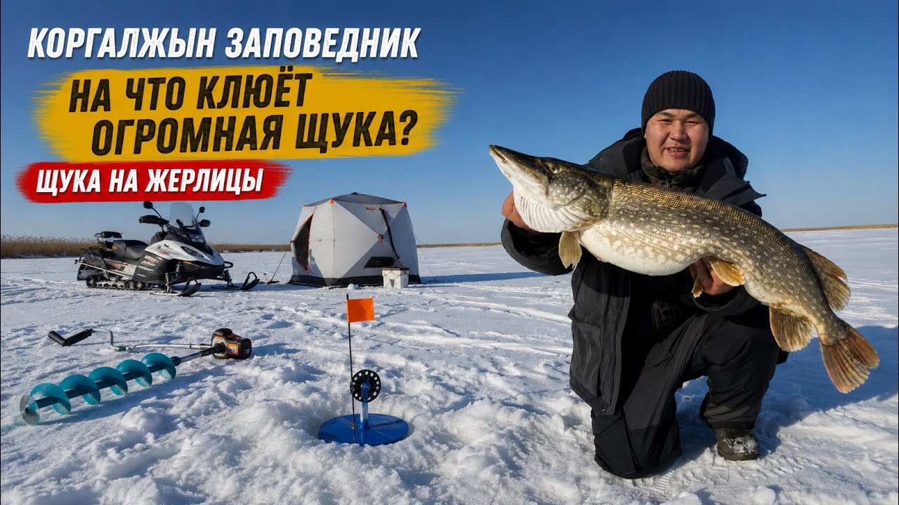 КЛЮНУЛА ХОЗЯЙКА ОЗЕРА! ВОТ ЭТО АДРЕНАЛИН #врек #рыбалка #рыбалканаозере #fishing #рыба #щука 