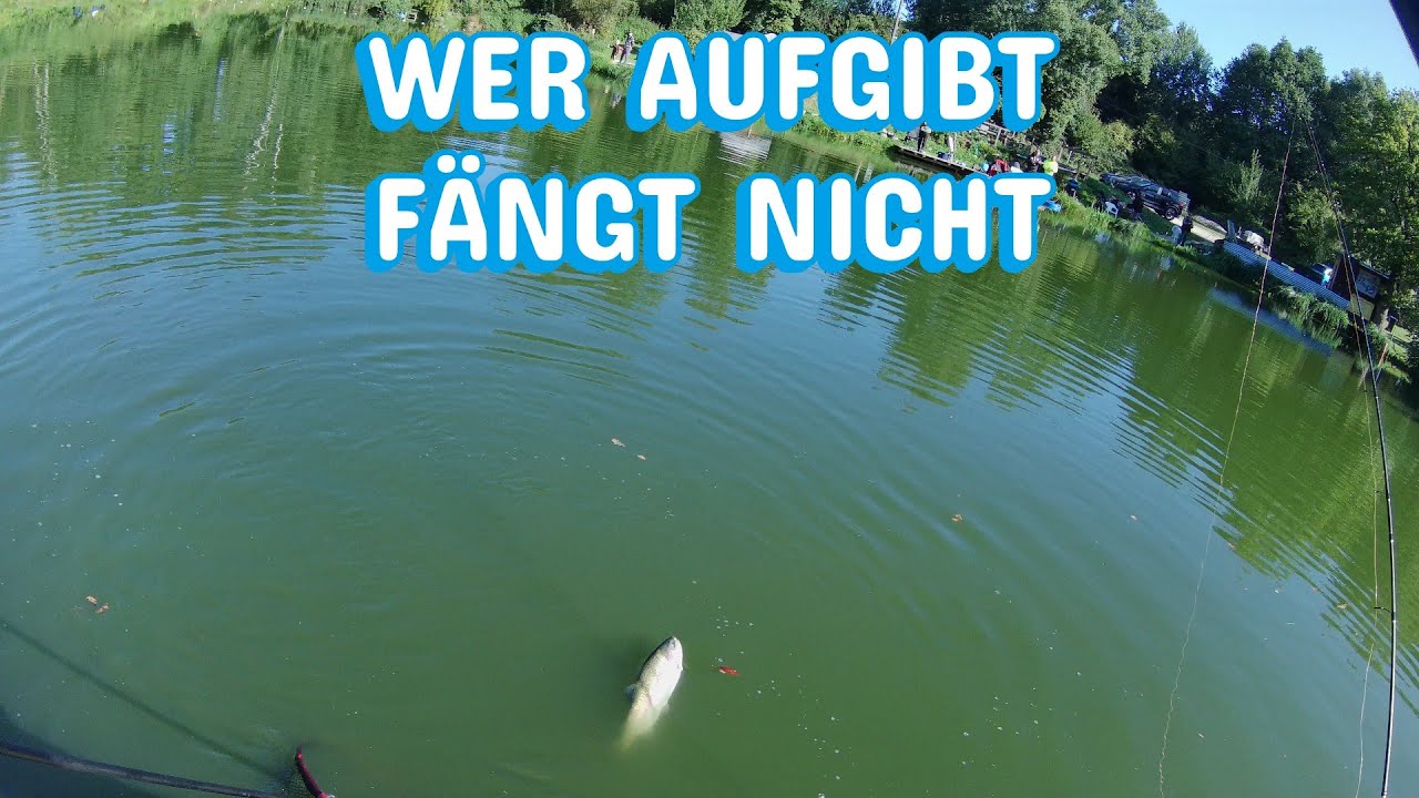 Forellenangeln nach der Sommerpause!
