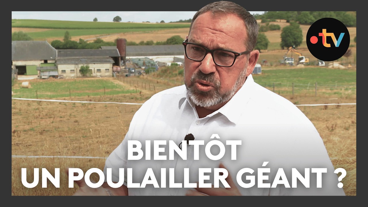 39.999 volailles pour 6.000 habitants, un projet de poulailler g&eacute;ant divise la population