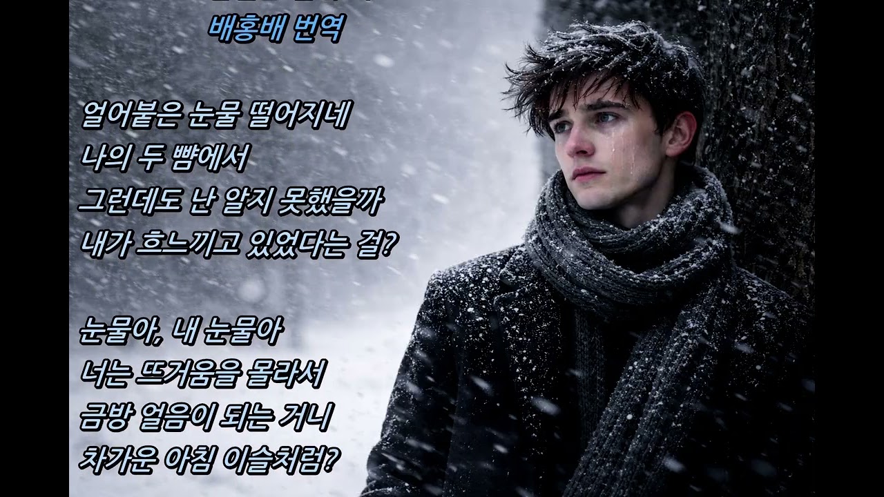 슈베르트 겨울나그네 얼어붙은 눈물 가사와 해설 첼로 연주