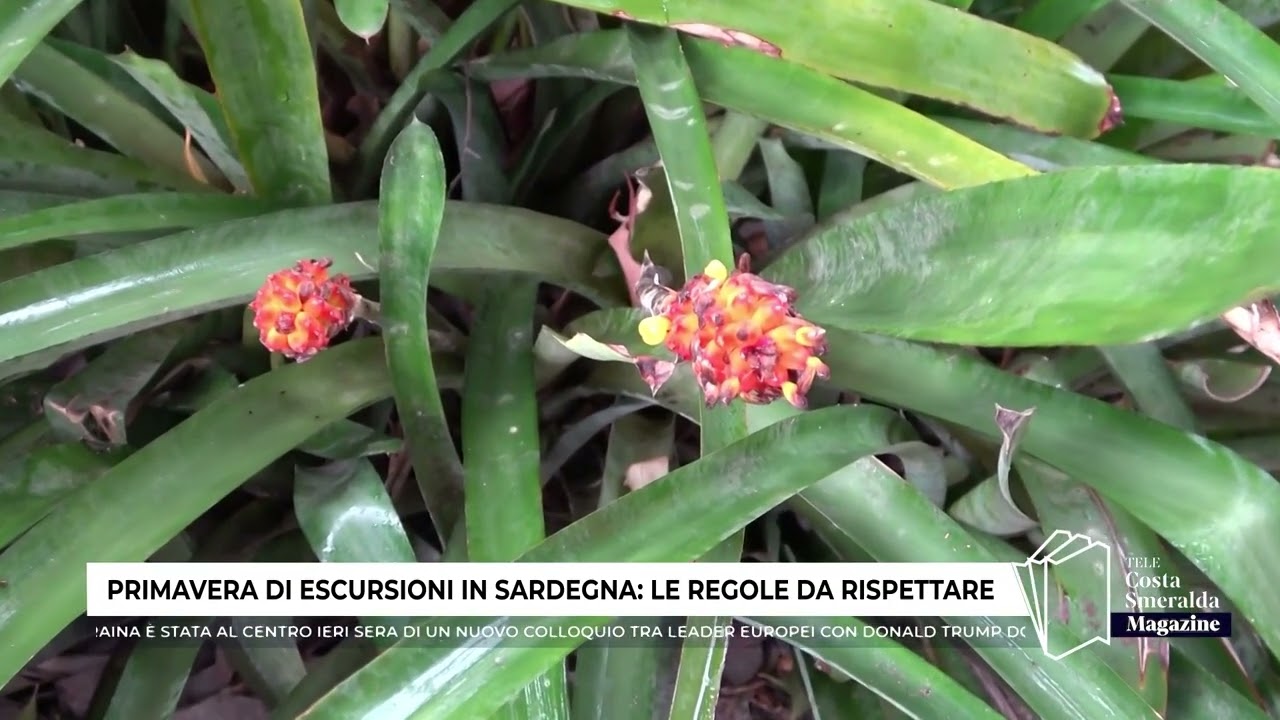 PRIMAVERA DI ESCURSIONI IN SARDEGNA, LE REGOLE DA RISPETTARE