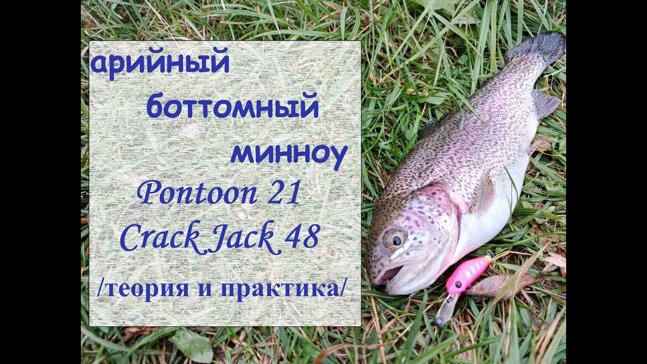 арийный боттомный минноу Pontoon 21 Crack Jack 48 (теория и практика)