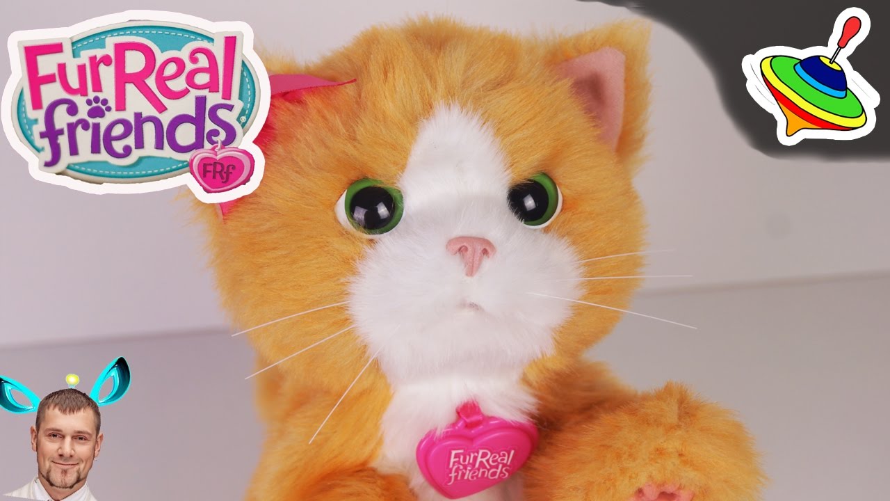 Игривый котенок Дейзи Furreal Friends Daisy