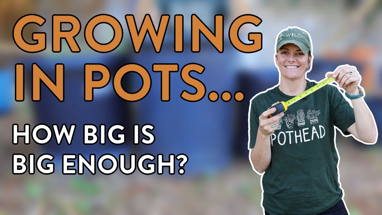Pot Size Perfection: Maximize Your Vegetable Garden&rsquo;s Potential!