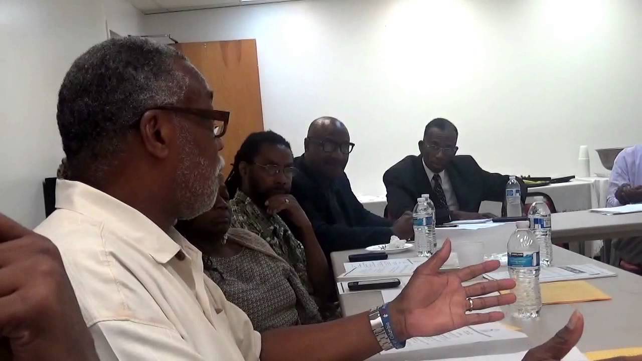 Dr. Malik Burnett at IBW's DC Justice Collaborative on Initiative #71 (Part 2)