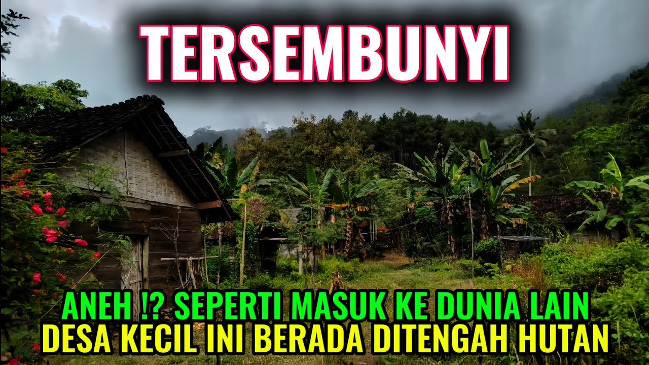 SULIT DIPERCAYA SEPERTI TAK MASUK AKAL DIDALAM HUTAN TERNYATA ADA DESA KECIL